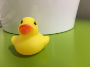 IMG_0186