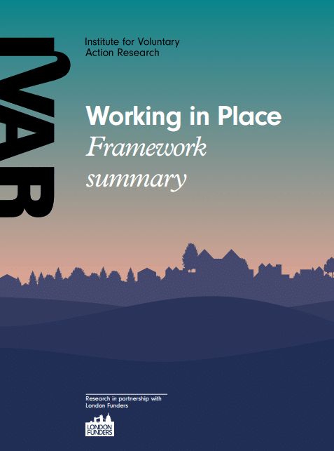 Front cover image for working in place framework summary