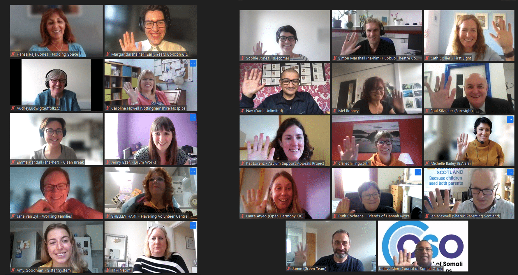 30 charity reviewers on Zoom windows waving.